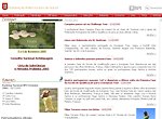 Portugiesischer Golf Verband